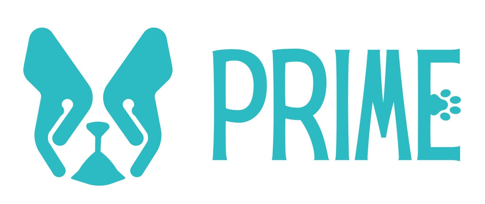 Primepaws Veterinary Clinic in Dubai Best Per Care in Dubai